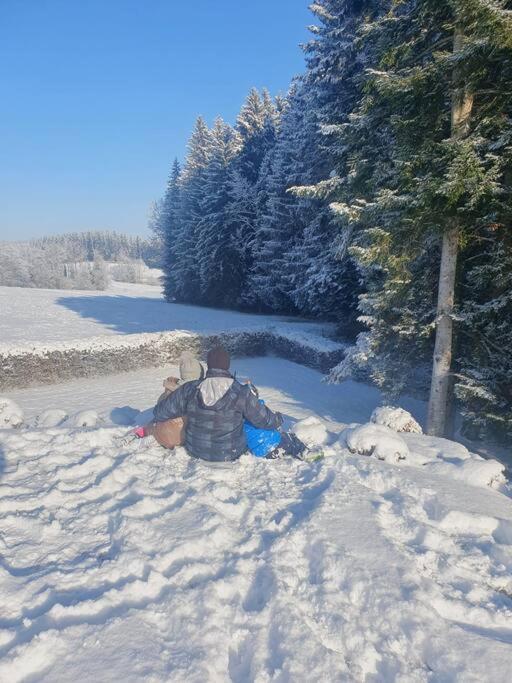 Ferienwohnung Im Allgaeu Mit Bergsicht Oberreute Kültér fotó